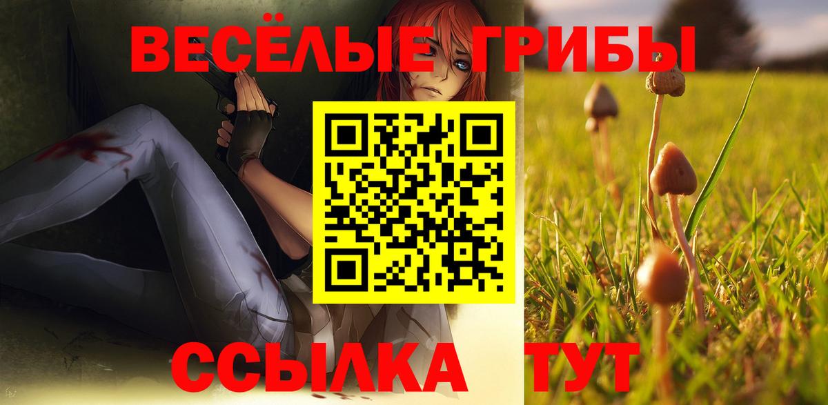 Галлюциногенные грибы MAGIC MUSHROOMS  Галлюциногенные грибы MAGIC MUSHROOMS  где купить наркоту  Вход с VPN  Солнечногорск 